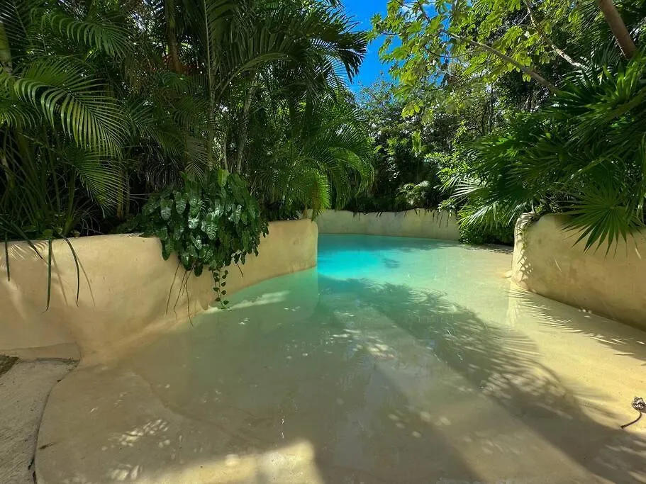 Luxury Studio-Private Individual Pool-Iik C409 By Sandy Powerful Tulum